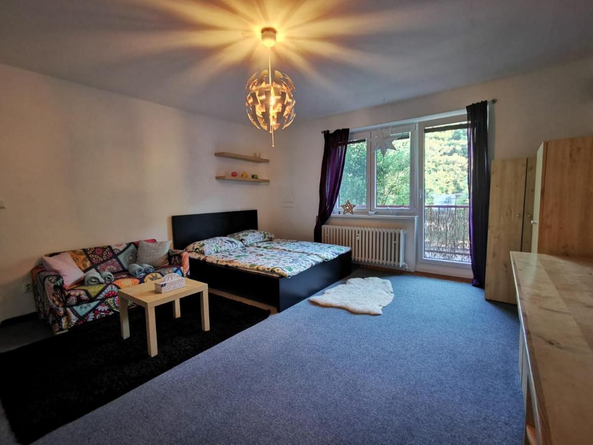 Апартаменти Cely Apartman Podlesi 54M2 S Dvema Balkony A S Novou Manzelskou Posteli, Zatim Neni Na Fotkach Брно Екстер'єр фото